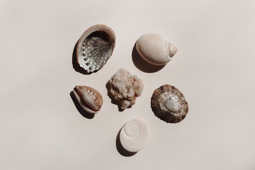 我想吃火锅是什么梗